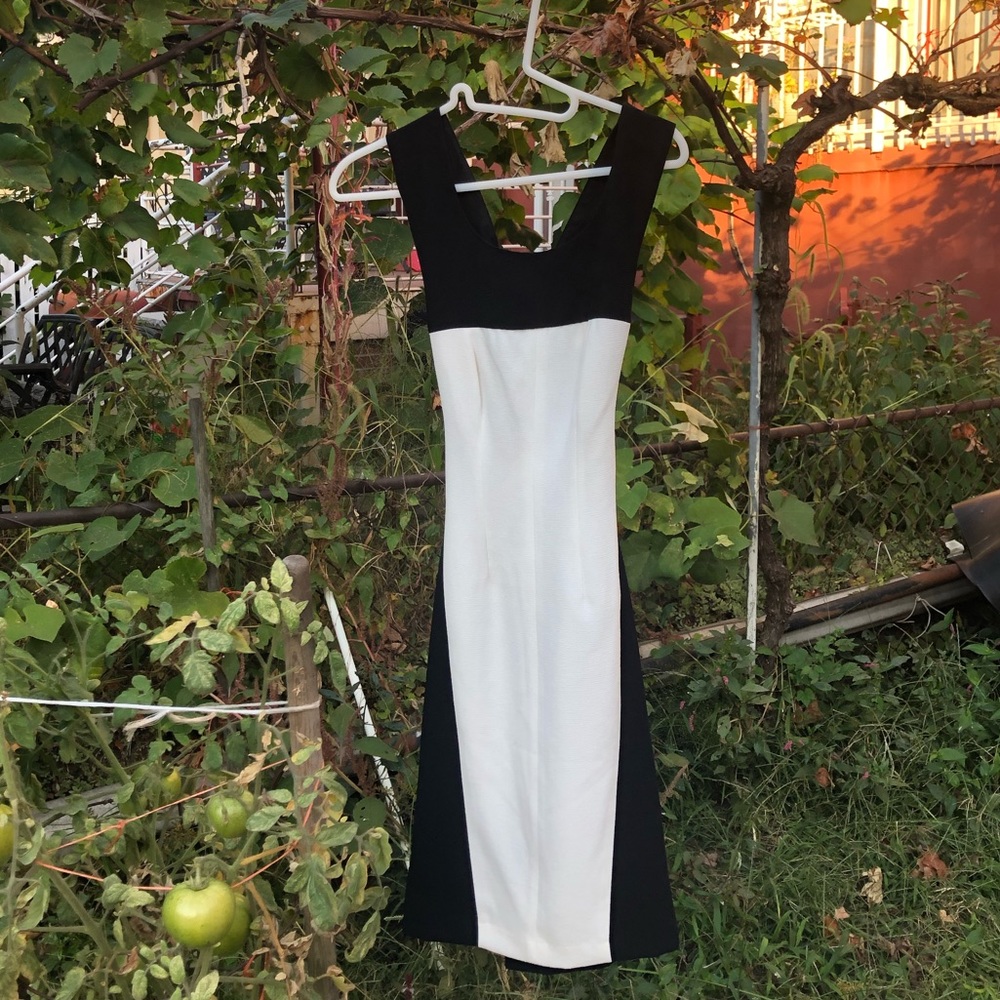 BCBG Color Block Dress Black & White Cross Back